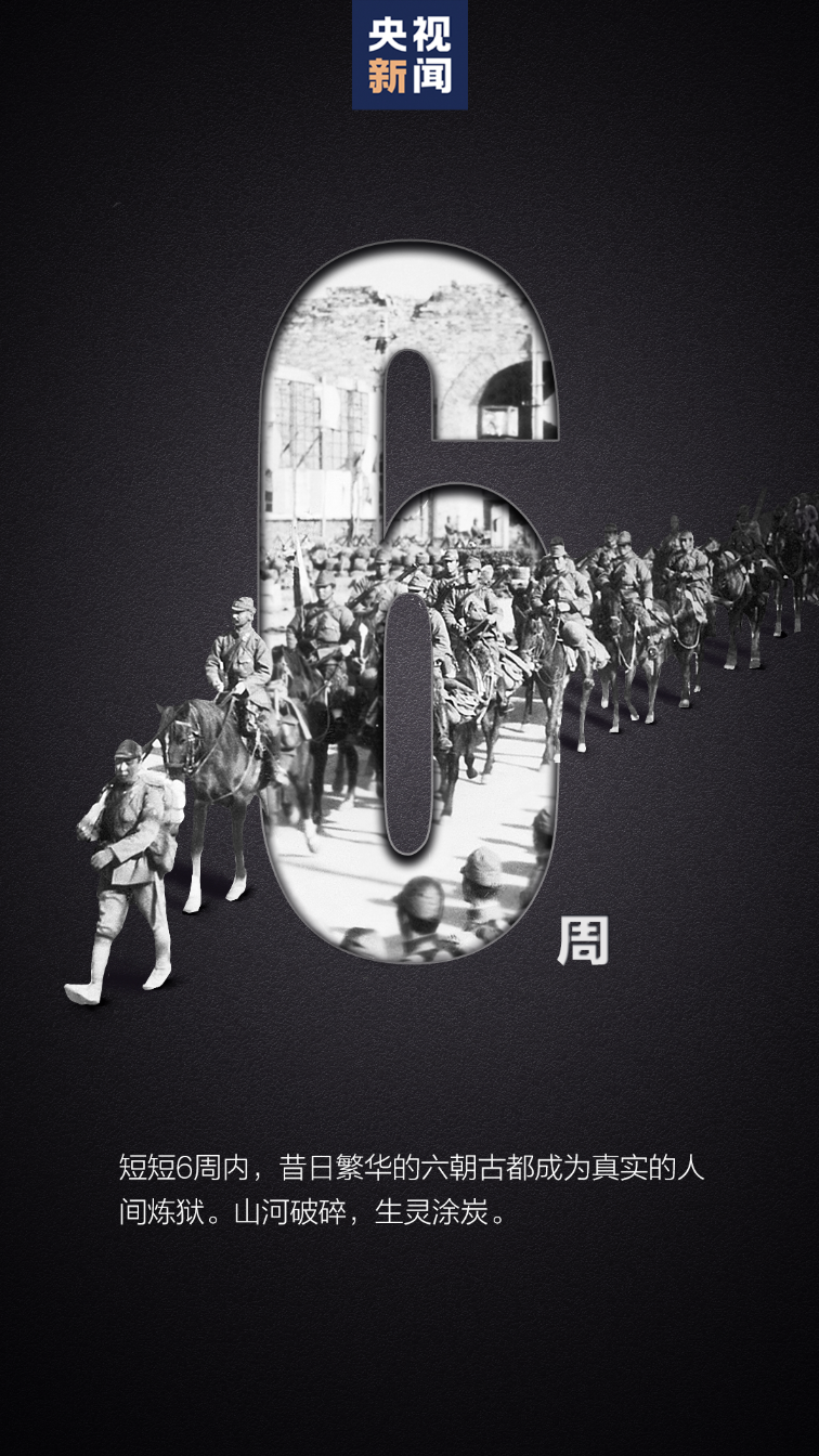 18780_6eafdf22-b301-4e8c-8ff3-3f49f5324842_zsize.png