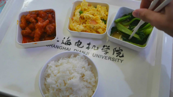 资料图：学生们种的青菜被做成菜肴 学校供图.jpg