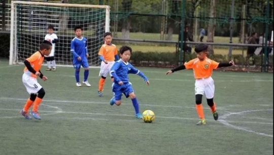 上海市学生体育素养评价体系发布