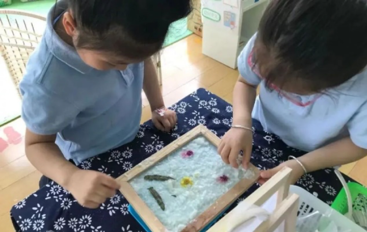 幼有善育 | “课堂+社会+自然”赋能幼儿，宝山区的这所幼儿园有妙招