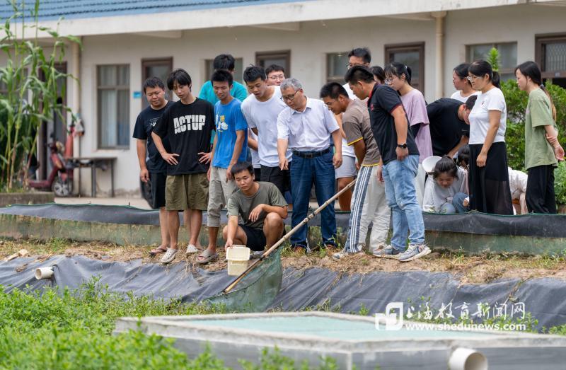 在科技小院首席专家成永旭的指导下，“拖鞋”班在田间上课.jpg