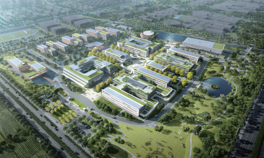 上海交通大学即将落户崇明！
